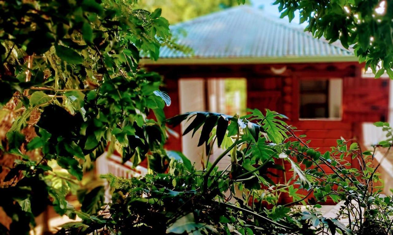 Gite Mamour - Charmant Petit Bungalow A Decouvrir Baillif Luaran gambar